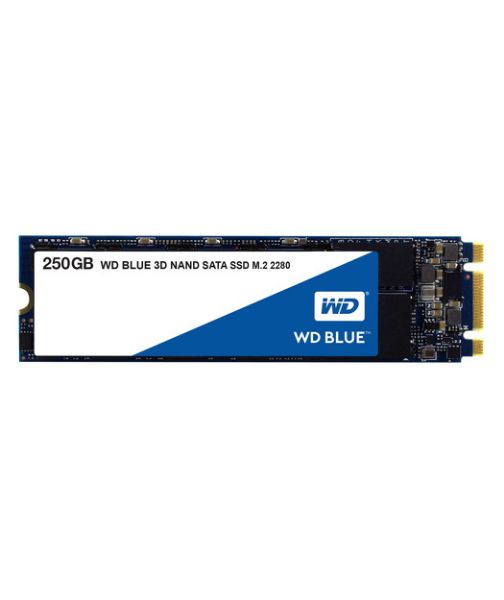 Western Digital Blue 250GB WDS250G2B0B SSD Disk resmi